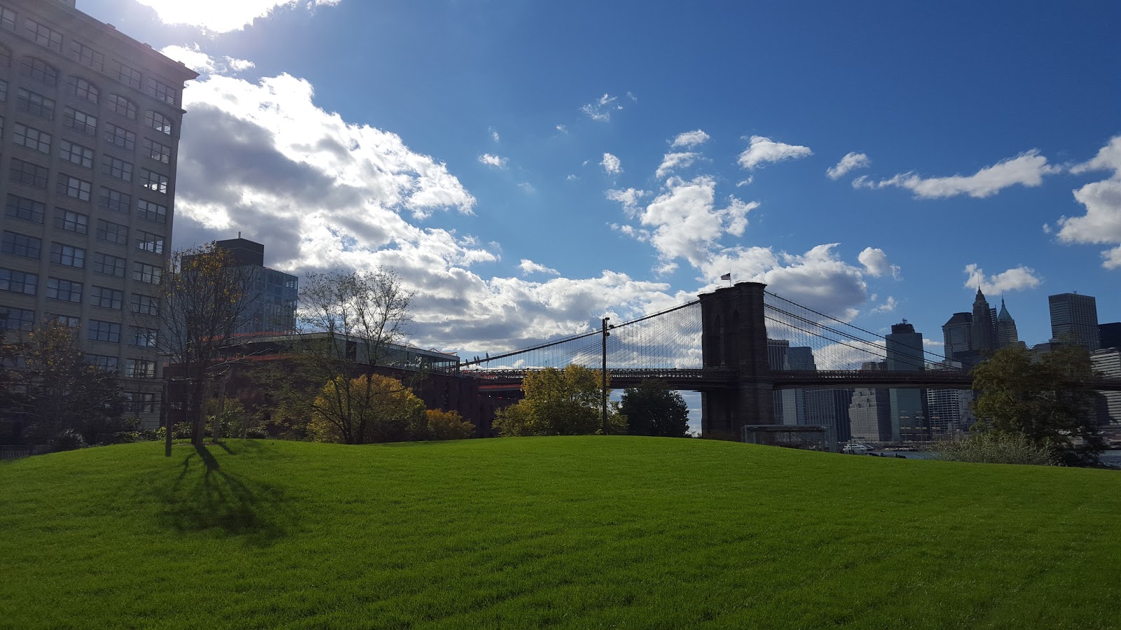 Photo of Brooklyn Bridge Park in Brooklyn City, New York, United States - 1 Picture of Point of interest, Establishment, Park