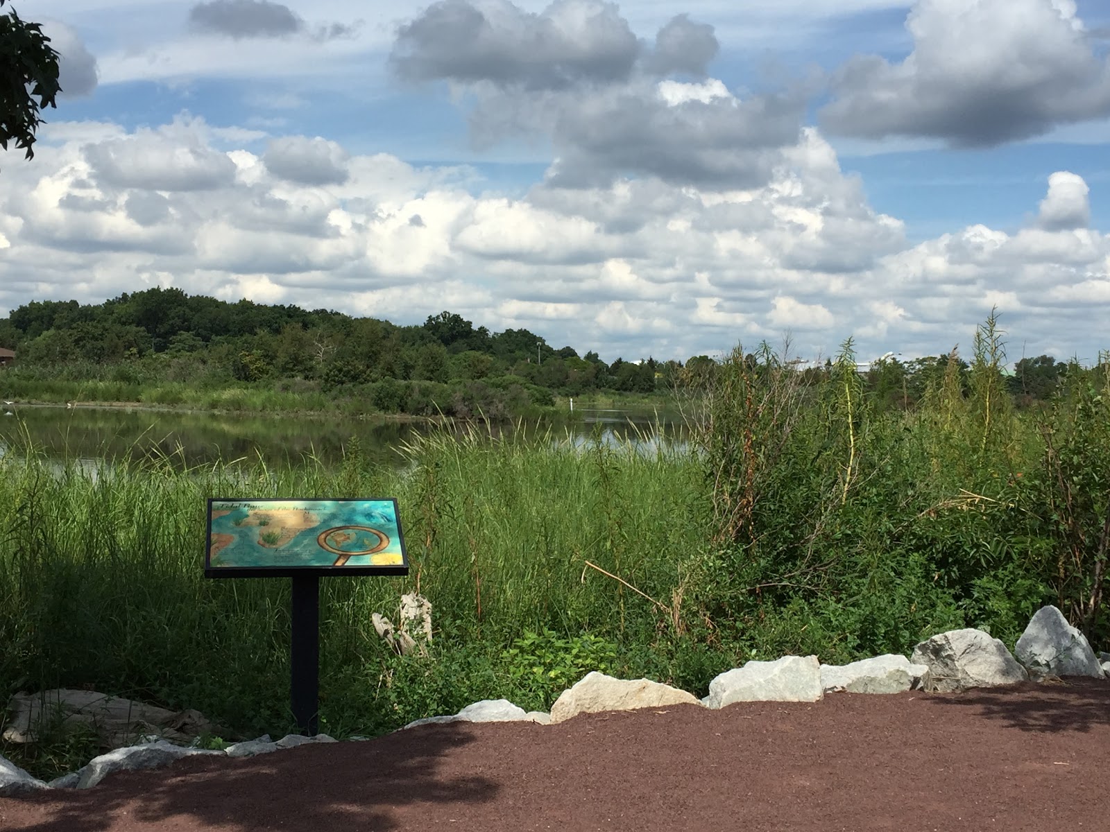 Photo of Mill Creek Marsh Trail in Secaucus City, New Jersey, United States - 5 Picture of Point of interest, Establishment, Park