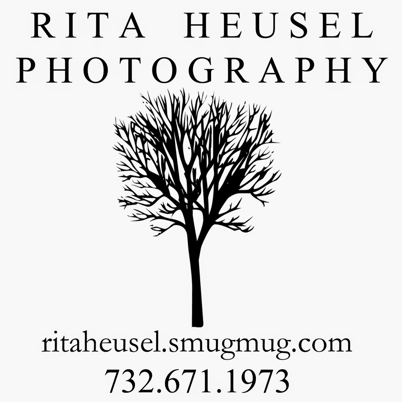 Photo of Rita Heusel Photography in Middletown City, New Jersey, United States - 1 Picture of Point of interest, Establishment