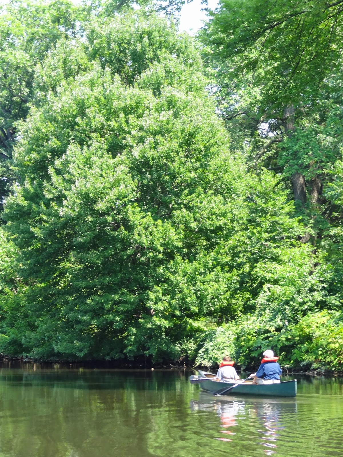 Photo of Cranford Canoe Club in Cranford City, New Jersey, United States - 7 Picture of Point of interest, Establishment