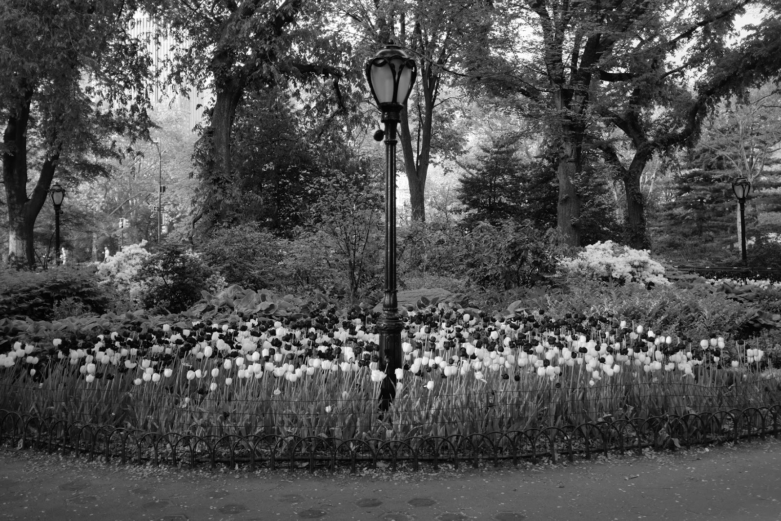 Photo of Olmsted Flower Bed in New York City, New York, United States - 4 Picture of Point of interest, Establishment, Park