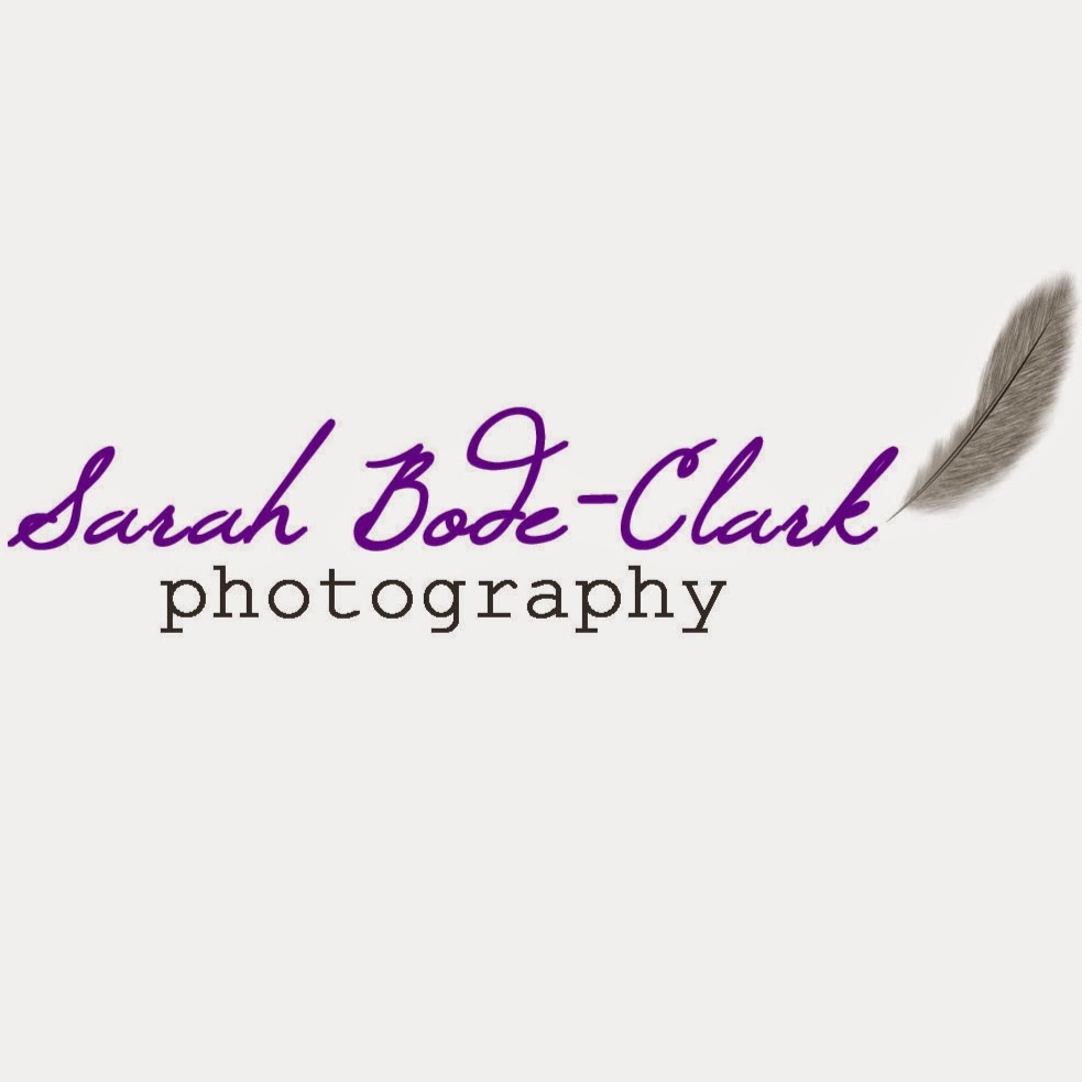 Photo of Sarah Bode-Clark Photography in Kings County City, New York, United States - 4 Picture of Point of interest, Establishment