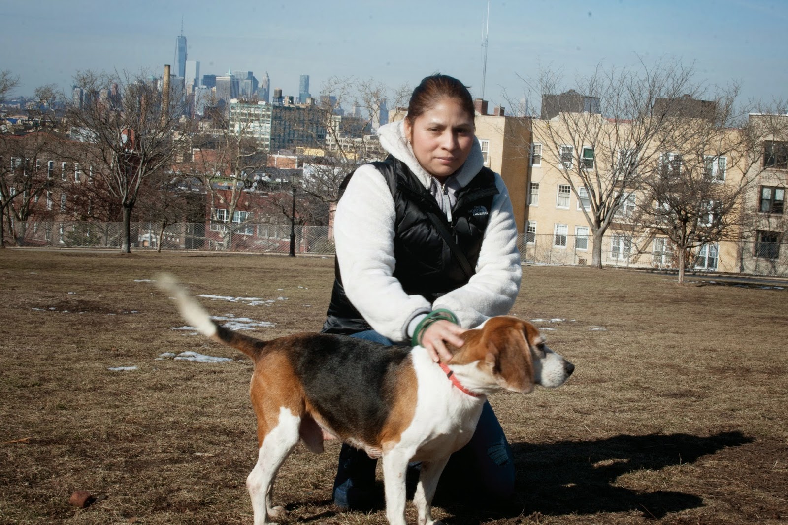 Photo of Trusty Amigos Dog Walking and Pet Care Cooperative in Kings County City, New York, United States - 2 Picture of Point of interest, Establishment