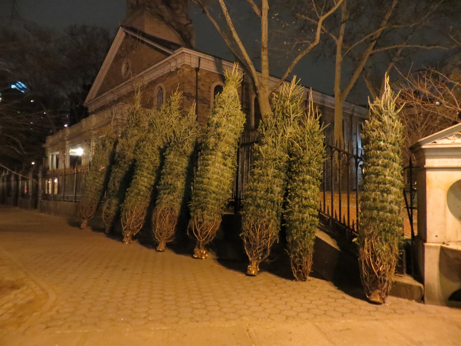 Photo of Christmas Tree Riders in New York City, New York, United States - 2 Picture of Point of interest, Establishment