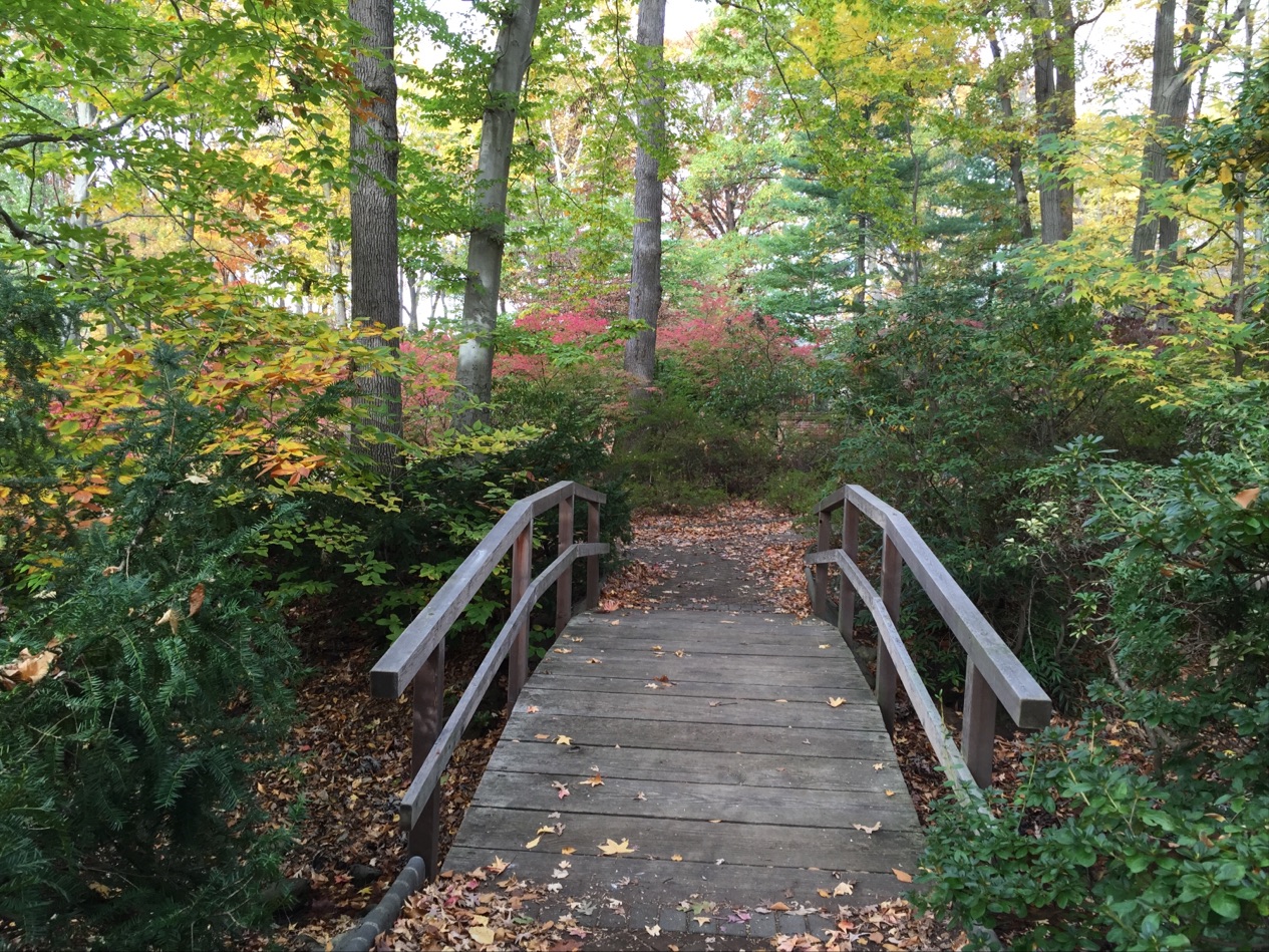 Photo of Van Saun County Park in Paramus City, New Jersey, United States - 2 Picture of Point of interest, Establishment, Park