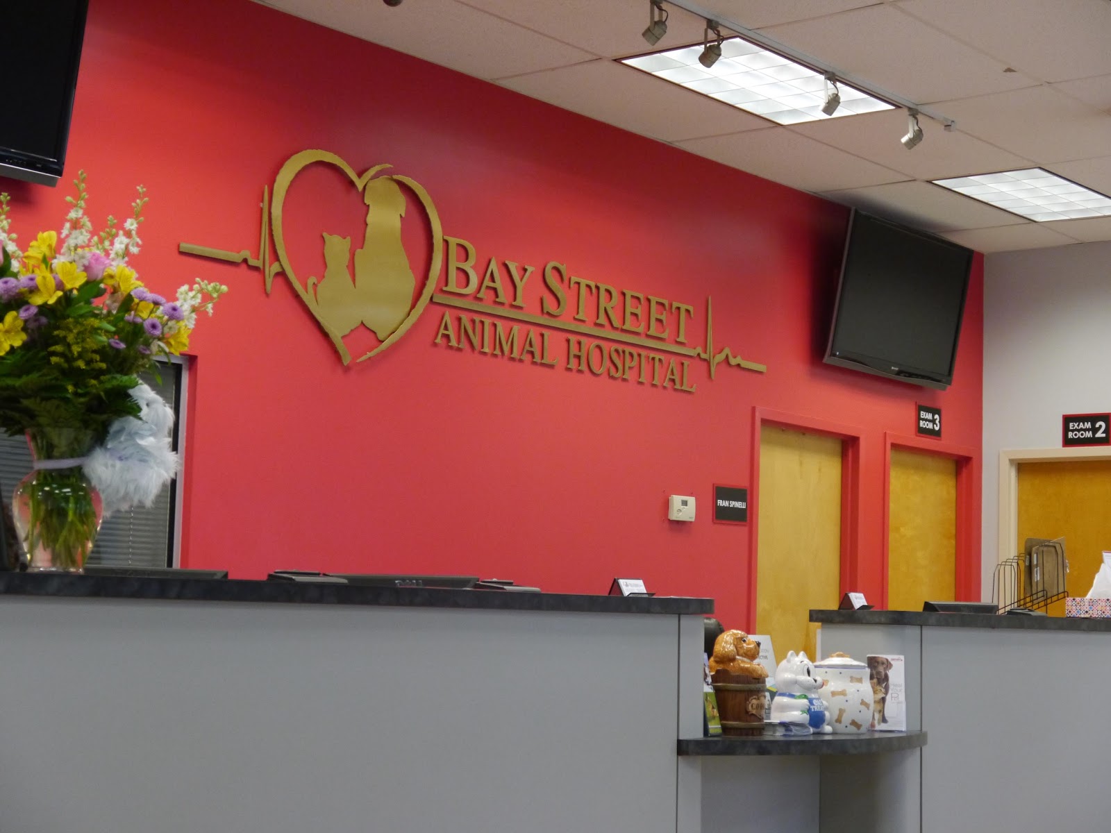 Photo of Bay Street Animal Hospital in Staten Island City, New York, United States - 2 Picture of Point of interest, Establishment, Store, Health, Pharmacy, Veterinary care