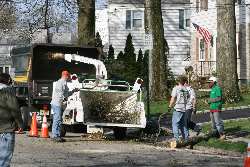 Photo of Down2Earth Tree Service, LLC in Saddle Brook City, New Jersey, United States - 5 Picture of Point of interest, Establishment