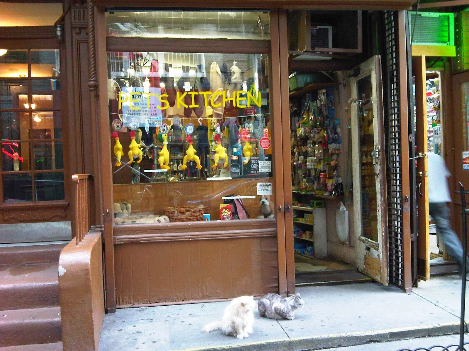 Photo of Pets Kitchen in New York City, New York, United States - 1 Picture of Point of interest, Establishment, Store, Pet store