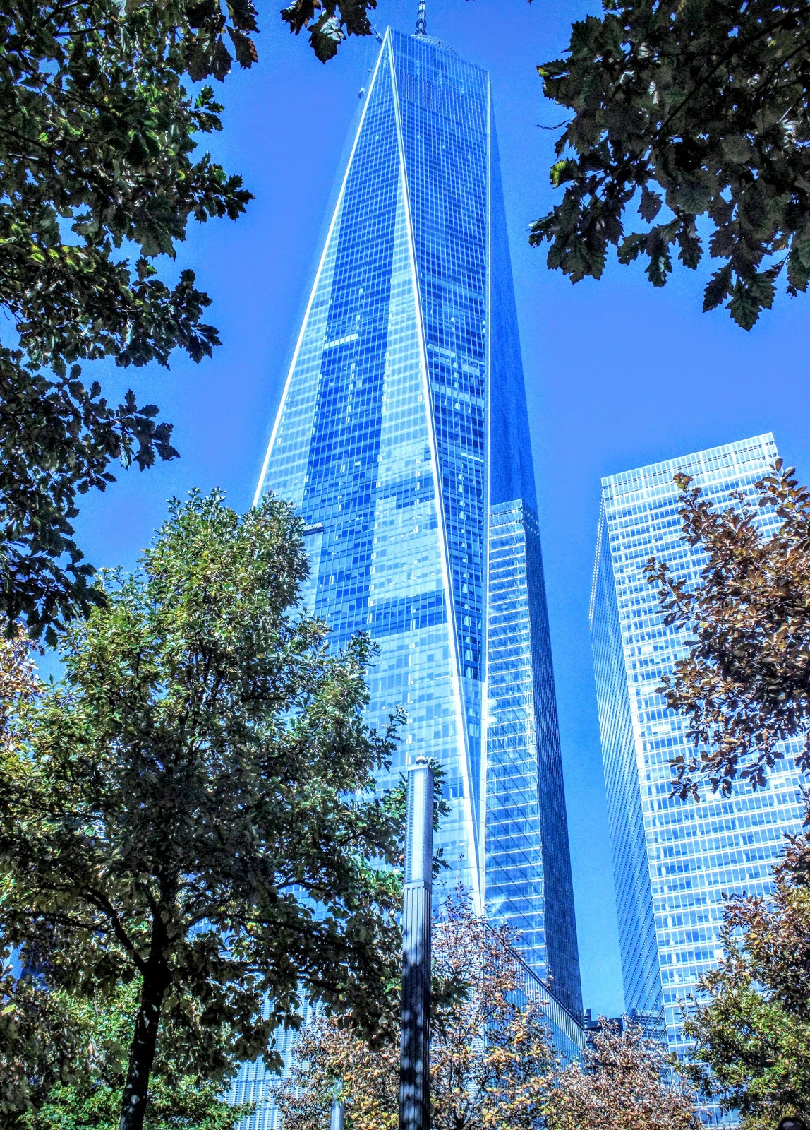 Photo of World Trade Center / Financial District in New York City, New York, United States - 5 Picture of Point of interest, Establishment, Museum