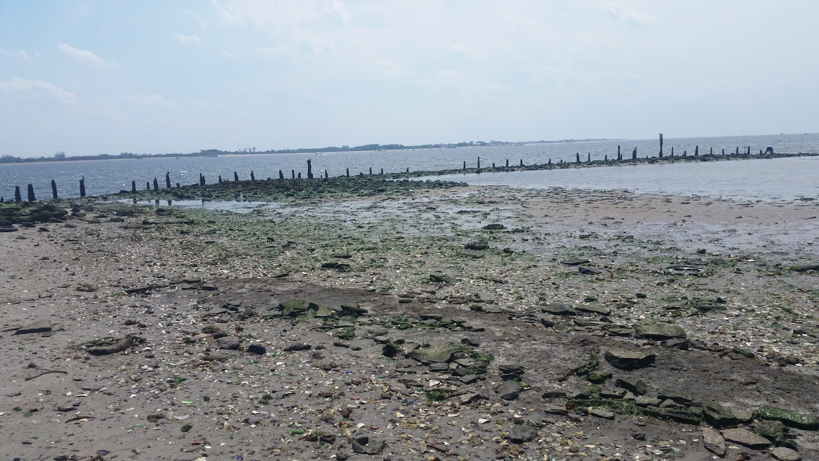 Photo of Glass Bottle Beach in New York City, New York, United States - 2 Picture of Point of interest, Establishment, Park