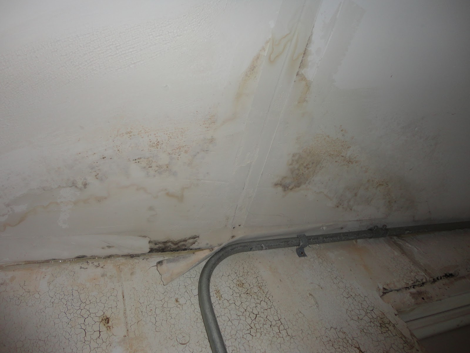 Photo of DryEase Water & Mold Removal in Brooklyn City, New York, United States - 10 Picture of Point of interest, Establishment, General contractor