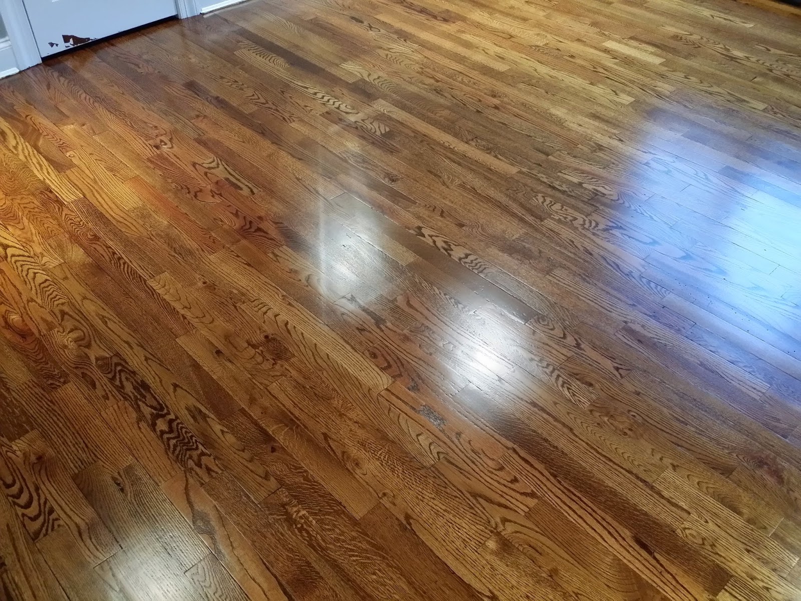 Photo of American German Floor Scraping in Queens City, New York, United States - 8 Picture of Point of interest, Establishment, General contractor