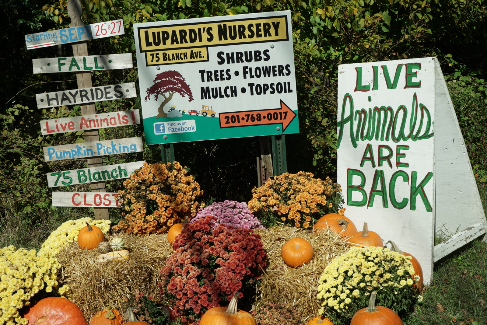 Photo of Lupardi's Nursery Inc in Closter City, New Jersey, United States - 5 Picture of Food, Point of interest, Establishment, General contractor