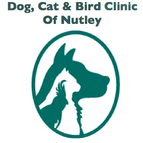 Photo of Dog Cat & Bird Clinic-Nutley in Nutley City, New Jersey, United States - 2 Picture of Point of interest, Establishment, Veterinary care