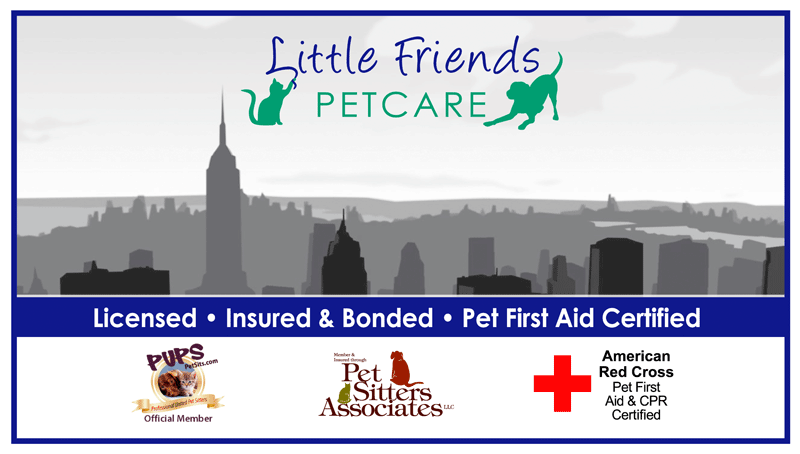 Photo of Little Friends Petcare in New York City, New York, United States - 4 Picture of Point of interest, Establishment