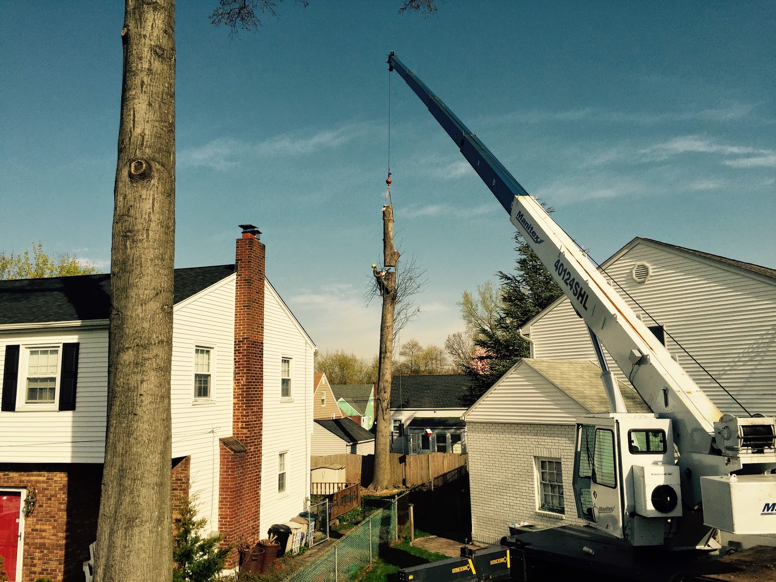 Photo of Bergenfield Tree Service, LLC in Bergenfield City, New Jersey, United States - 3 Picture of Point of interest, Establishment