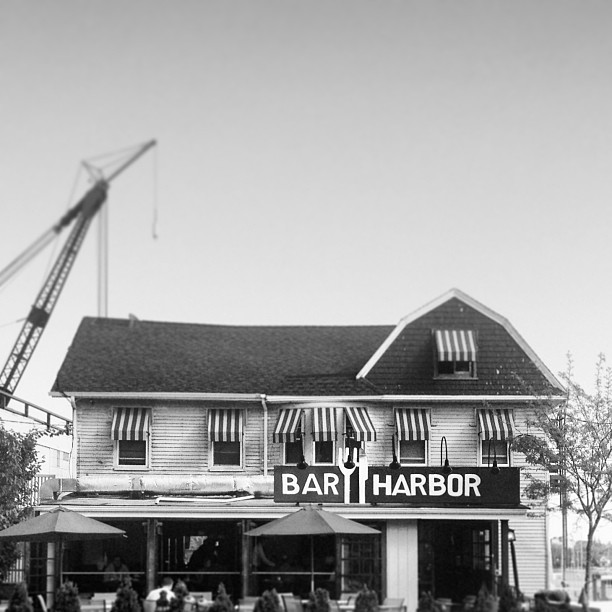 Photo of Bar Harbor in Mamaroneck City, New York, United States - 1 Picture of Point of interest, Establishment, Bar