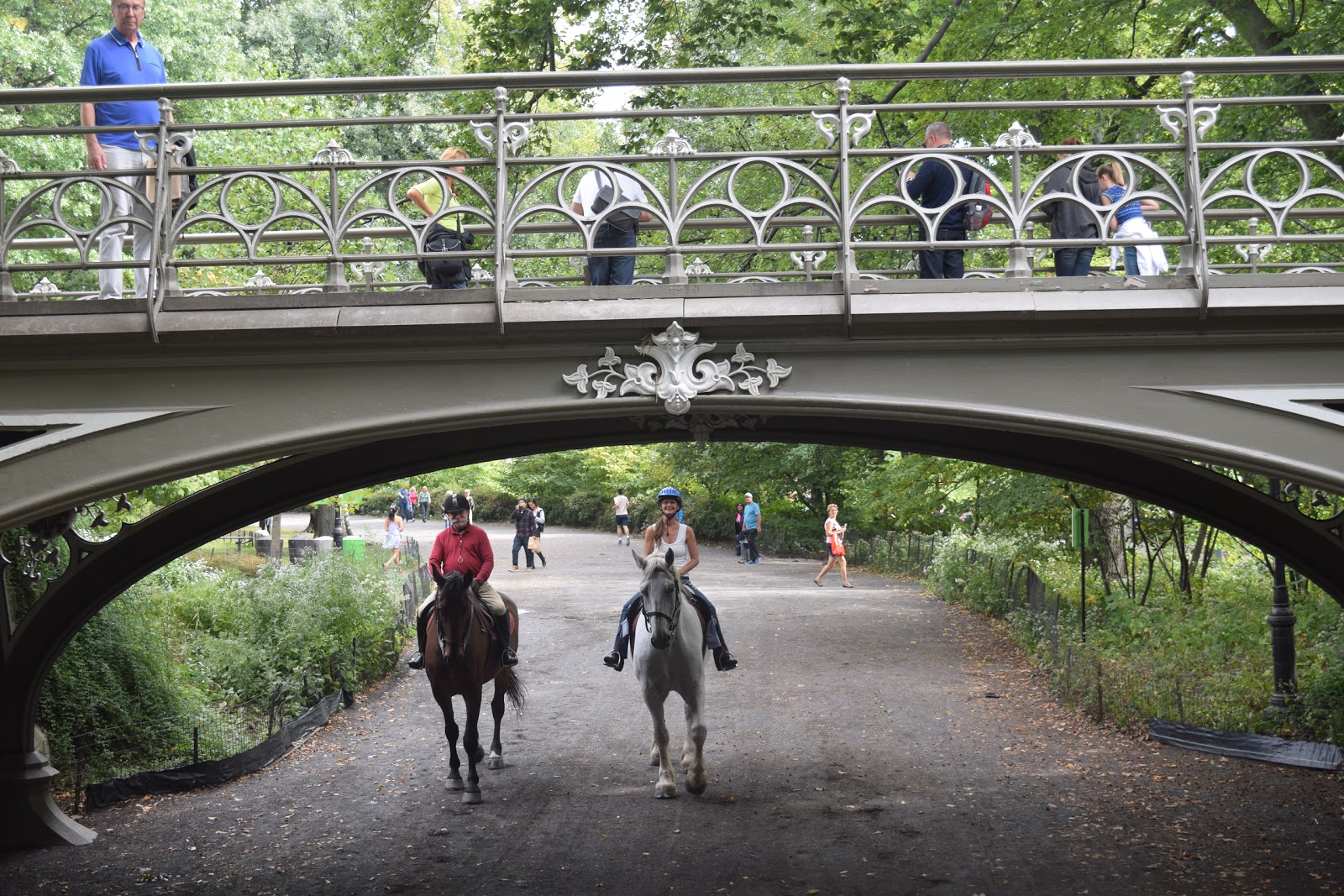 Photo of Central Park Horseback Rides in New York City, New York, United States - 5 Picture of Point of interest, Establishment, Travel agency