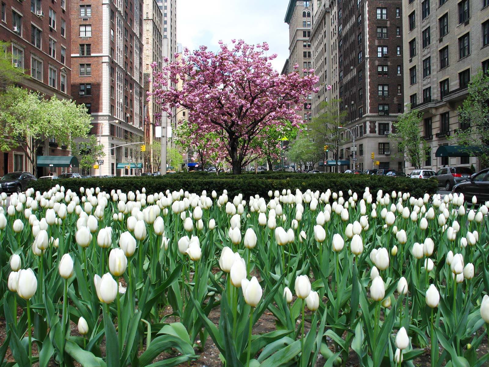 Photo of The Corcoran Group in New York City, New York, United States - 2 Picture of Point of interest, Establishment, Real estate agency