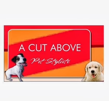 Photo of A Cut Above Pet Stylists in New York City, New York, United States - 3 Picture of Point of interest, Establishment