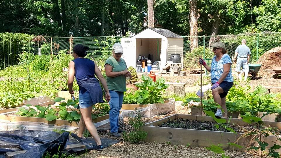 Photo of Township of Union Community Garden in Union City, New Jersey, United States - 2 Picture of Point of interest, Establishment, Park