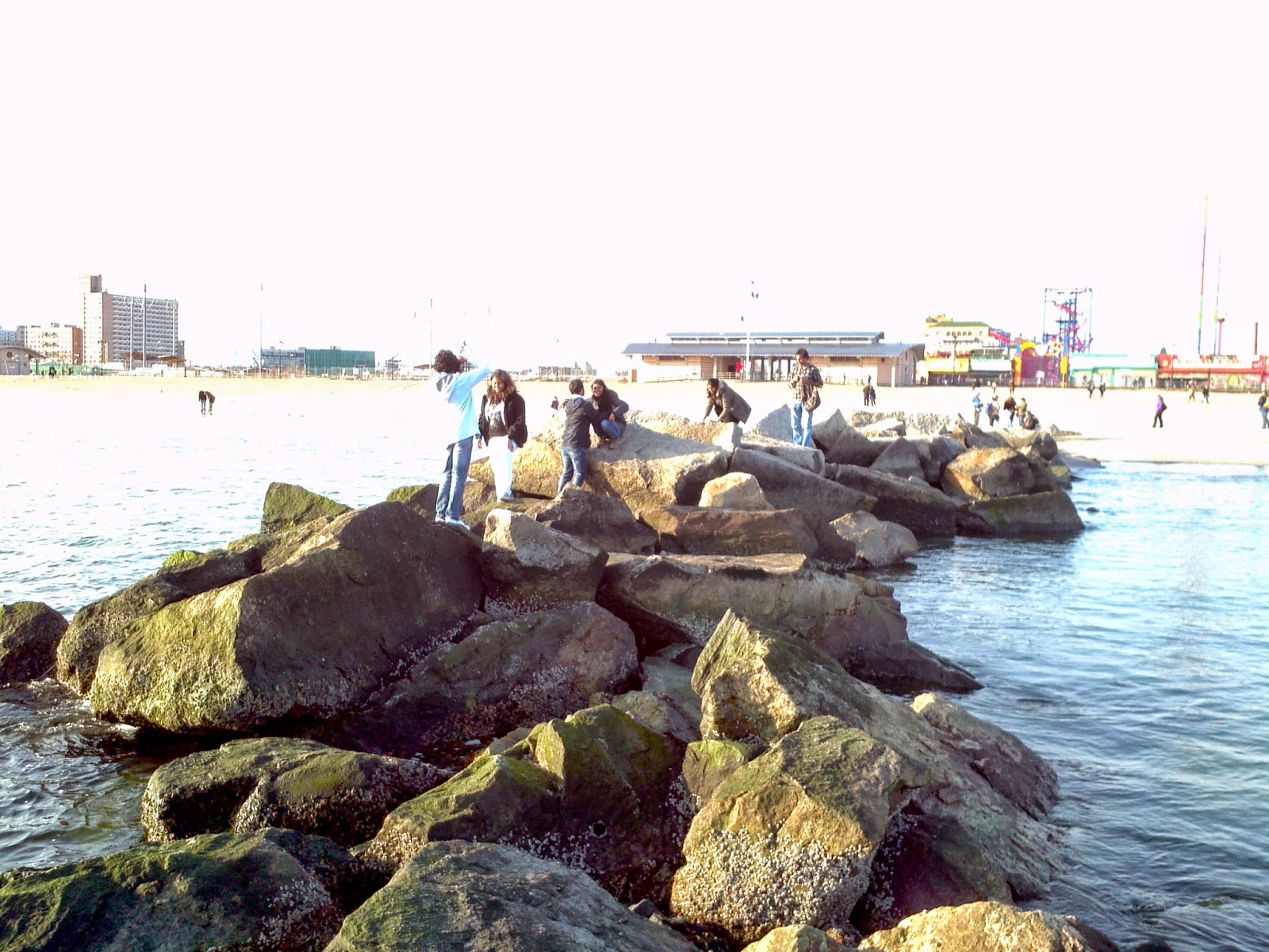 Photo of Coney Island Beach & Boardwalk in Brooklyn City, New York, United States - 10 Picture of Point of interest, Establishment, Natural feature