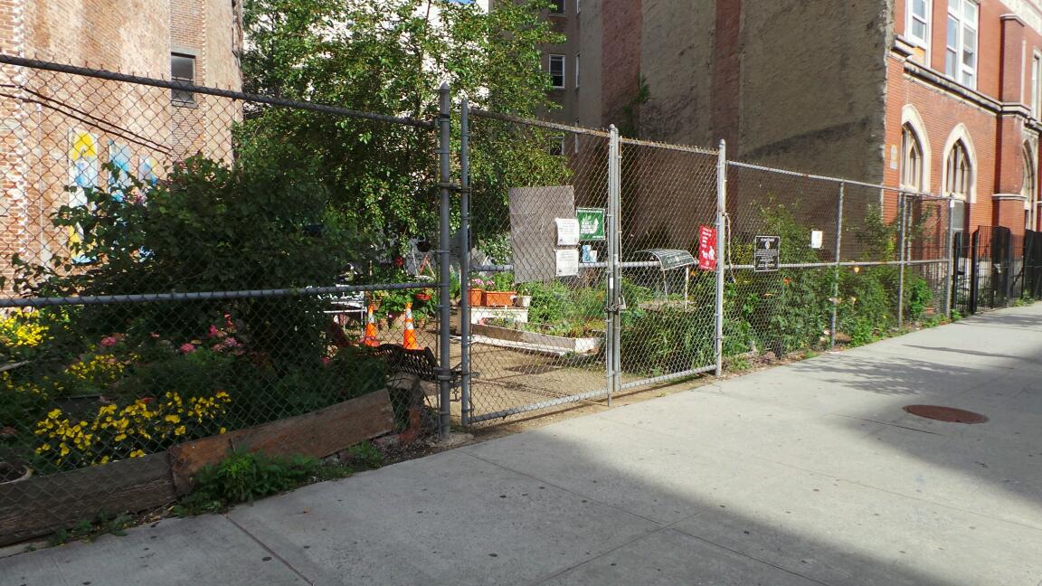 Photo of Carrie McCracken TRUCE Community Garden in New York City, New York, United States - 1 Picture of Point of interest, Establishment, Park