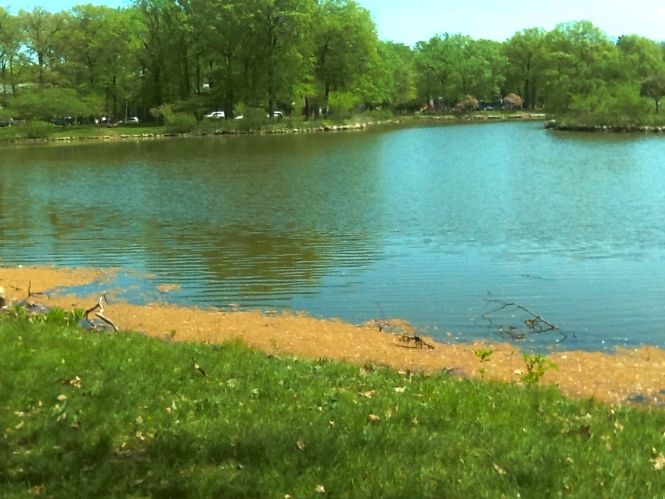 Photo of Warinanco Park in Roselle City, New Jersey, United States - 5 Picture of Point of interest, Establishment, Park