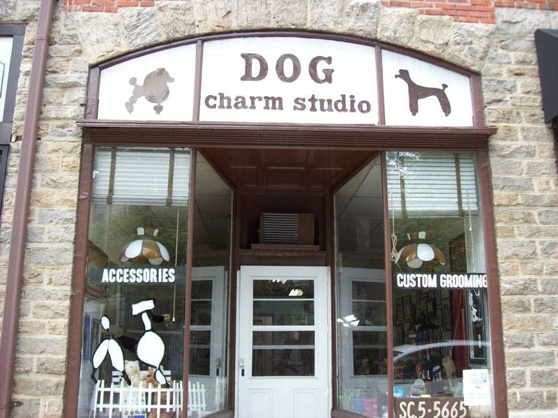 Photo of Dog Charm Studio in Scarsdale City, New York, United States - 1 Picture of Point of interest, Establishment, Store, Pet store