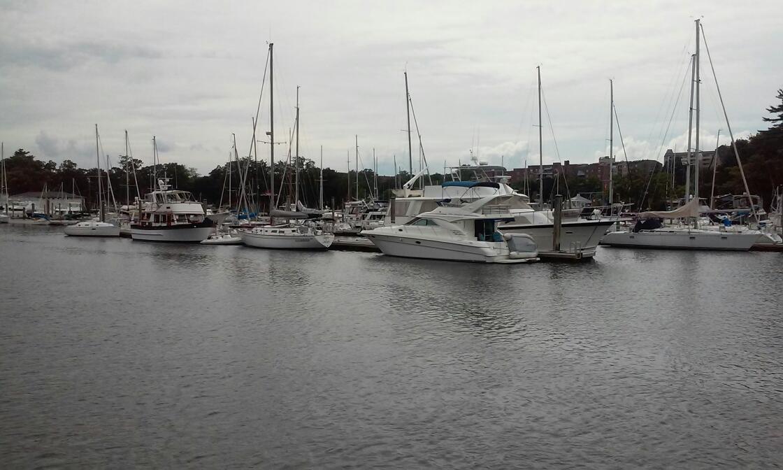 Photo of Glen Island Park in New Rochelle City, New York, United States - 9 Picture of Point of interest, Establishment, Park, Natural feature