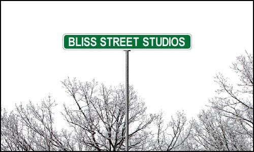 Photo of Bliss Street Studios LLC in Queens City, New York, United States - 1 Picture of Point of interest, Establishment