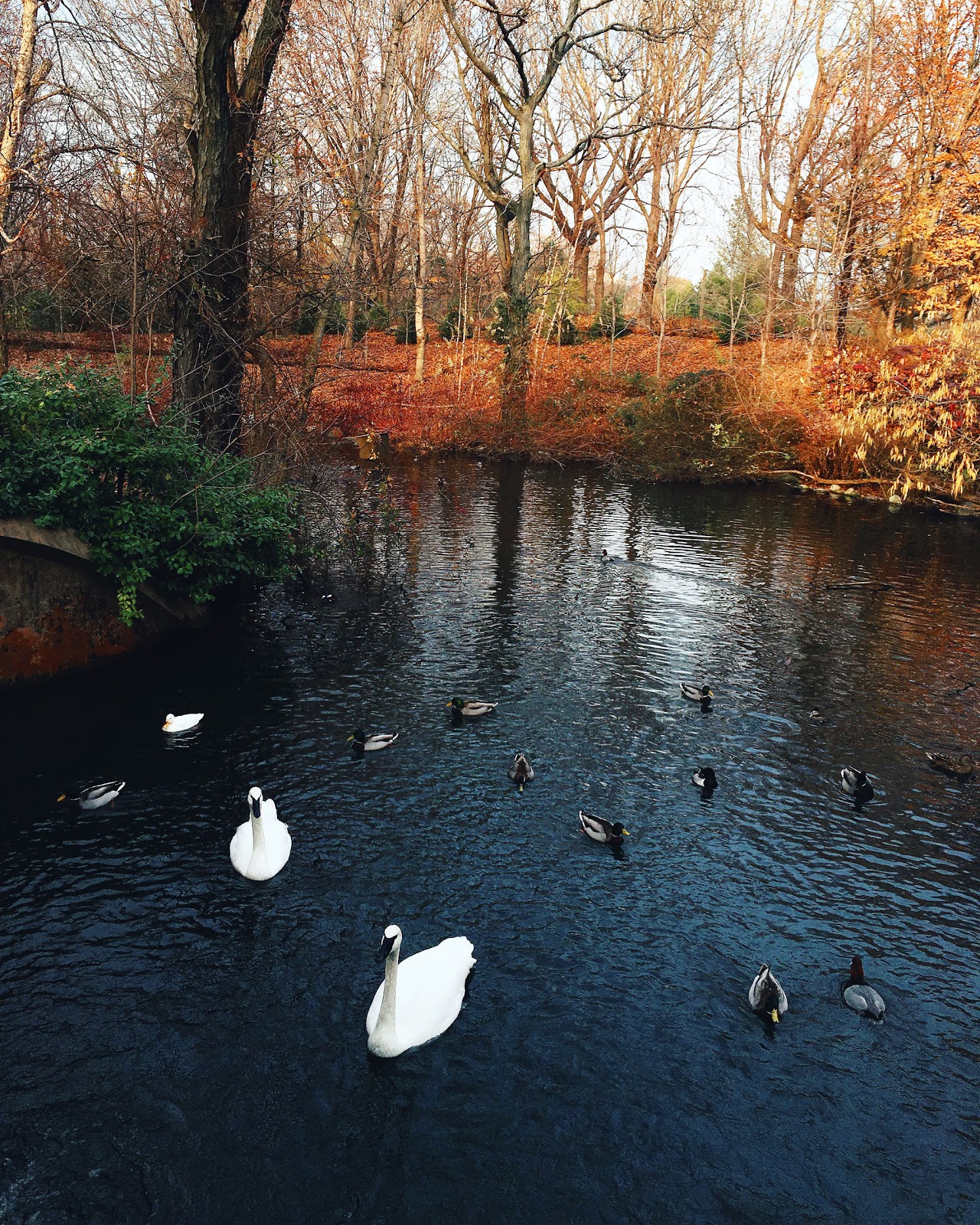 Photo of Queens Zoo in Corona City, New York, United States - 6 Picture of Point of interest, Establishment, Zoo