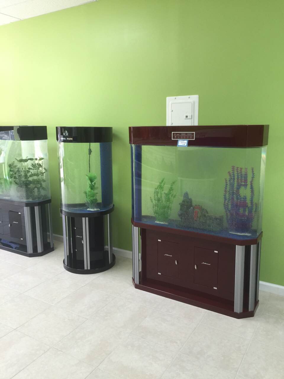 Photo of Crown Aquariums in Queens City, New York, United States - 2 Picture of Point of interest, Establishment, Store, Pet store