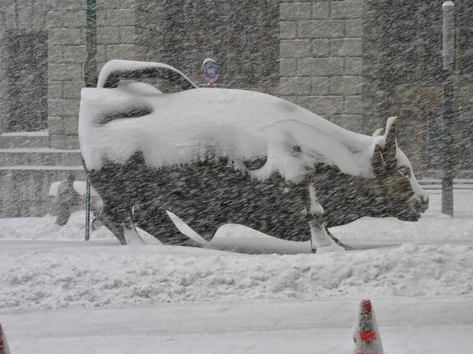 Photo of Charging Bull in New York City, New York, United States - 4 Picture of Point of interest, Establishment