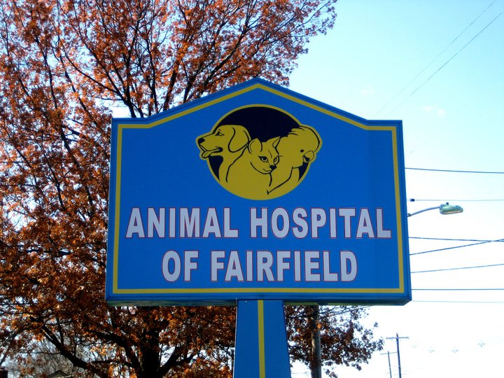 Photo of Animal Hospital of Fairfield in Fairfield City, New Jersey, United States - 8 Picture of Point of interest, Establishment, Veterinary care