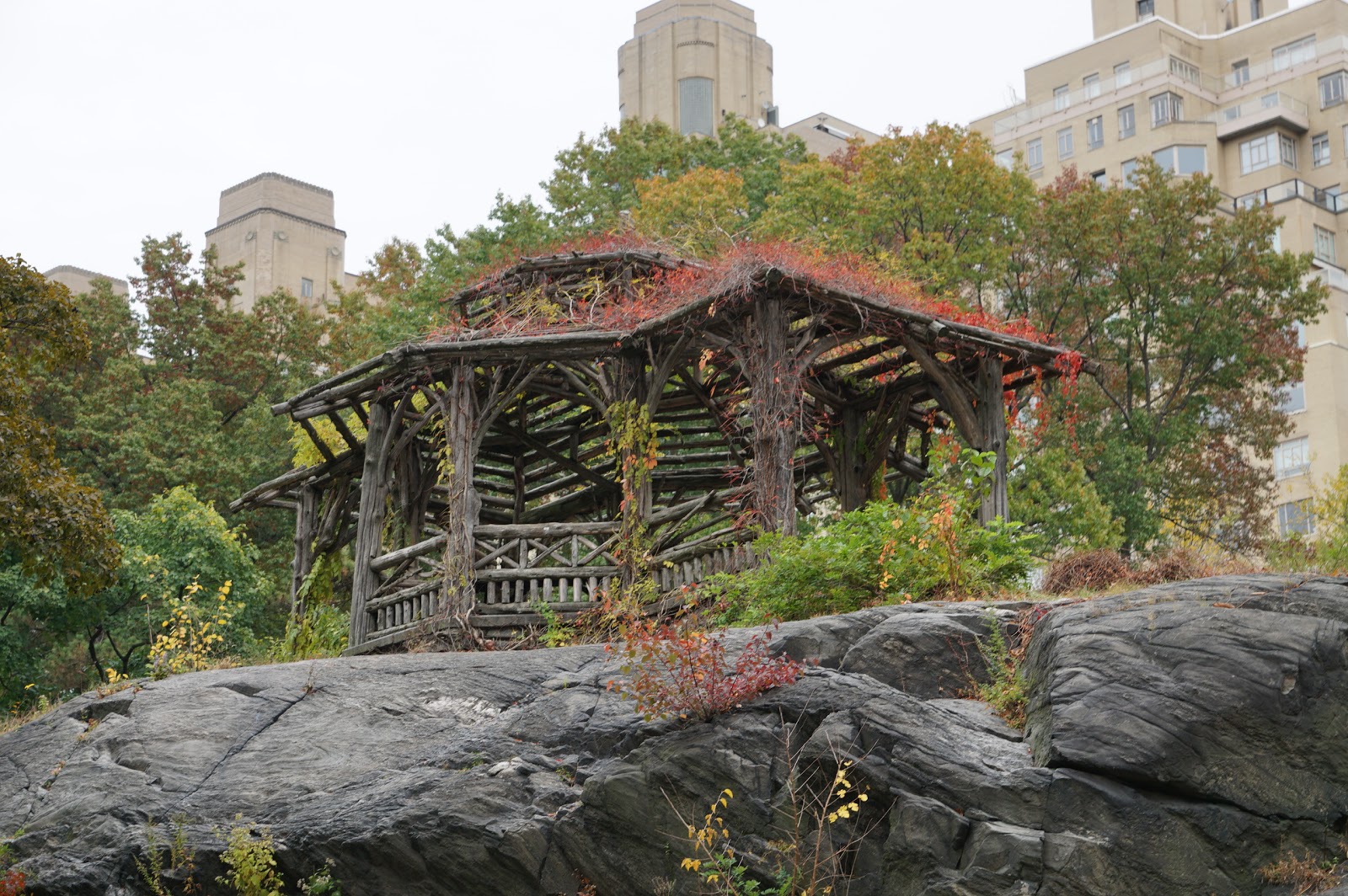 Photo of A Treehouse For Dreaming in New York City, New York, United States - 1 Picture of Point of interest, Establishment