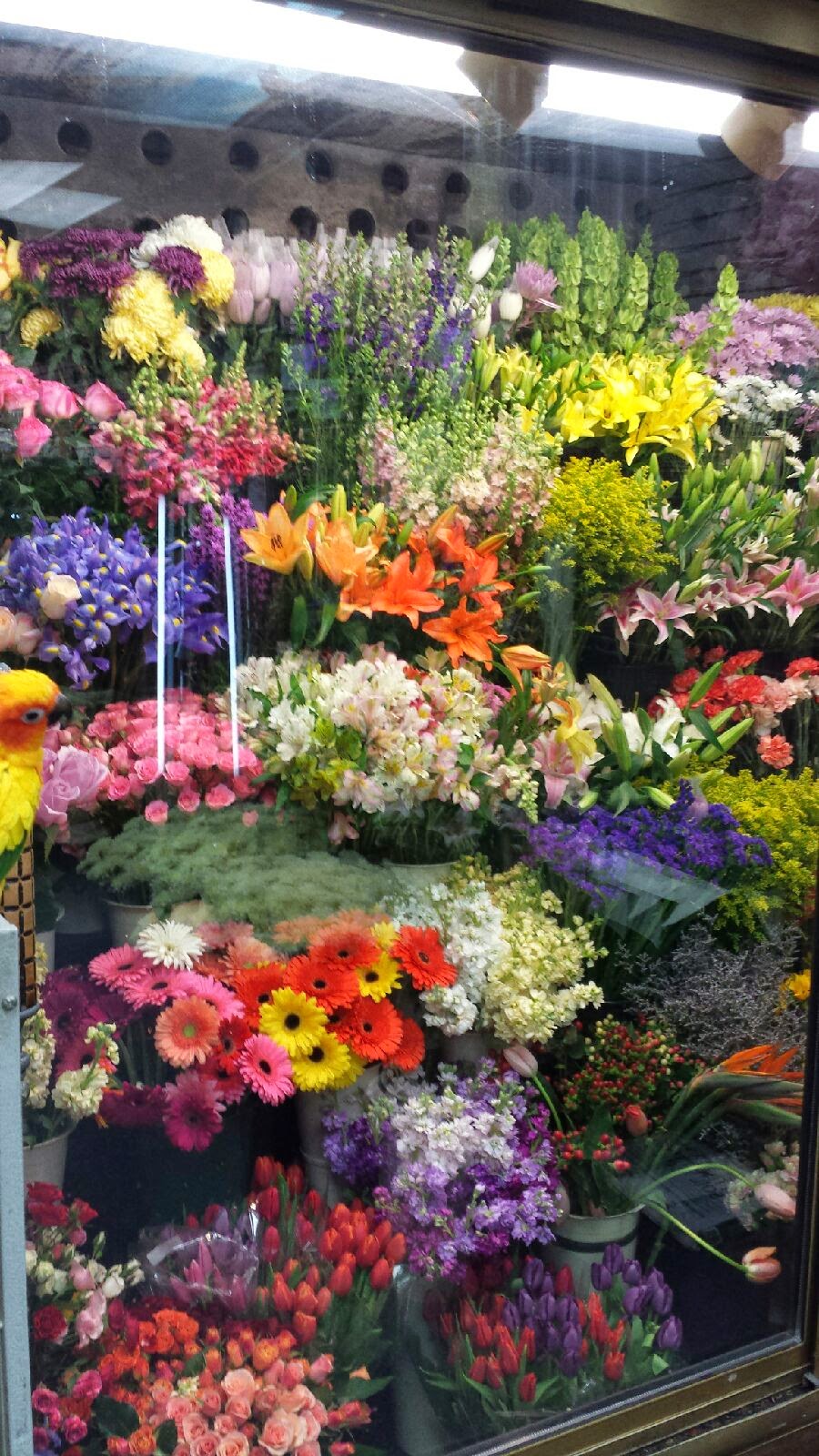 Photo of Bayside Florist, Inc. in Bayside City, New York, United States - 1 Picture of Point of interest, Establishment, Store, Home goods store, Florist