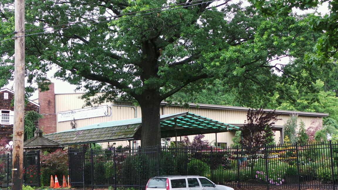 Photo of Wiesner Brothers Nursery Inc in Staten Island City, New York, United States - 2 Picture of Food, Point of interest, Establishment, General contractor