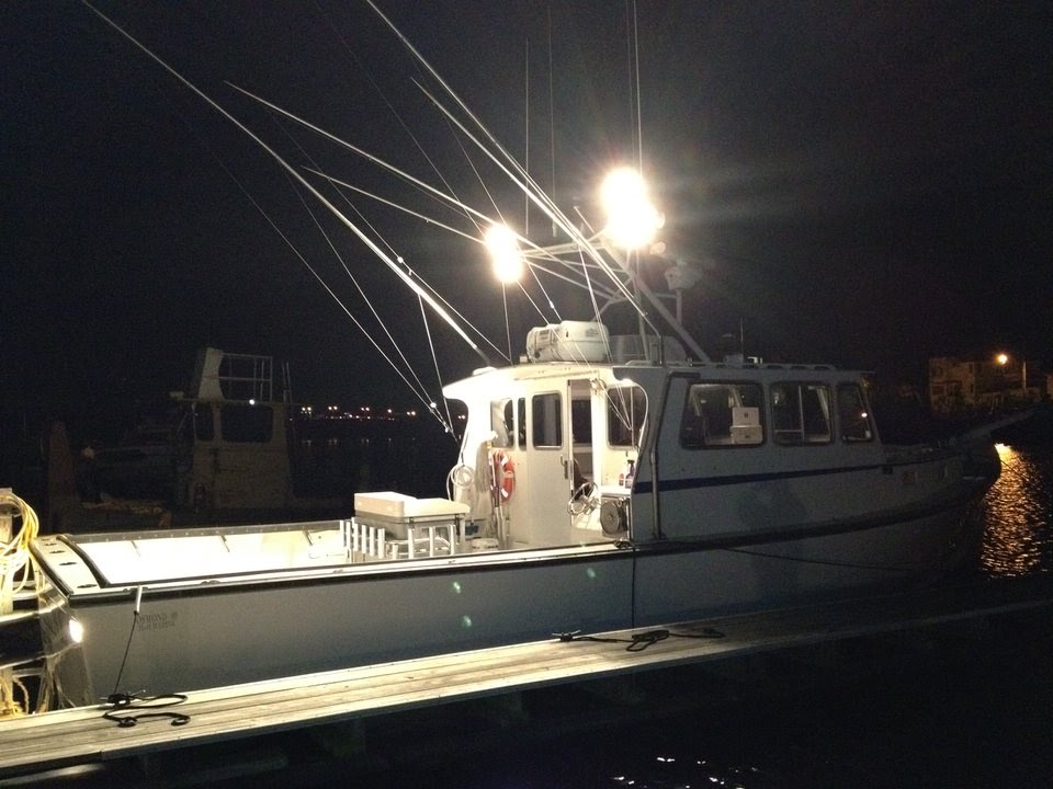 Photo of Whatta Catch Sport Fishing & Charter Boat in Brooklyn City, New York, United States - 6 Picture of Point of interest, Establishment