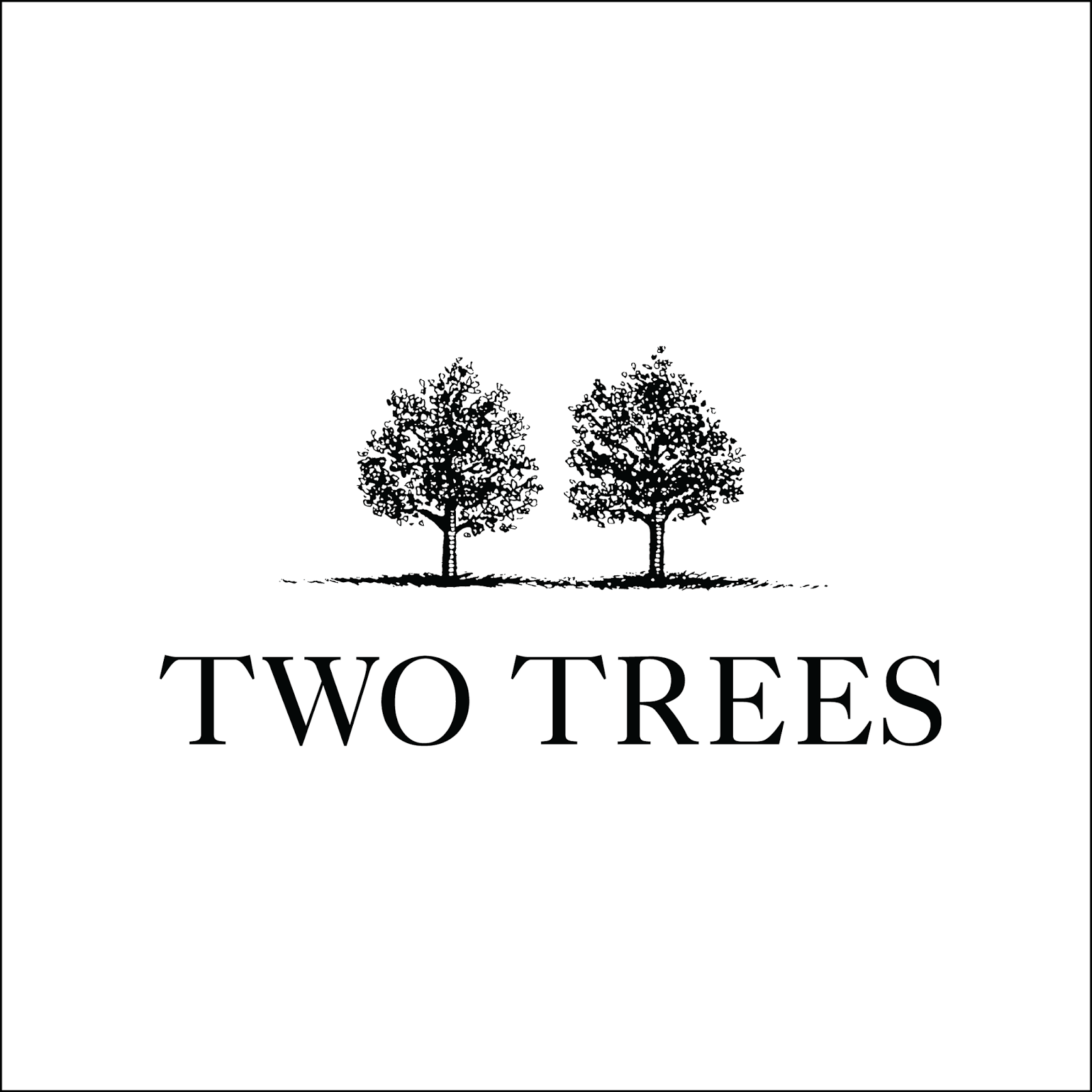 Photo of Two Trees in Brooklyn City, New York, United States - 9 Picture of Point of interest, Establishment, General contractor