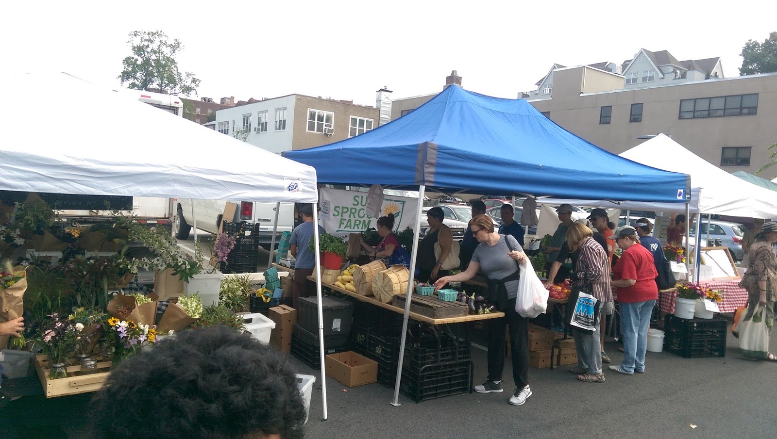 Photo of Bronxville Saturday Farmer Market in Bronxville City, New York, United States - 1 Picture of Food, Point of interest, Establishment, Store, Grocery or supermarket