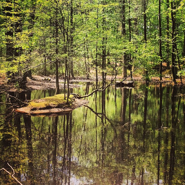 Photo of Rye Nature Center in Rye City, New York, United States - 2 Picture of Point of interest, Establishment, Park