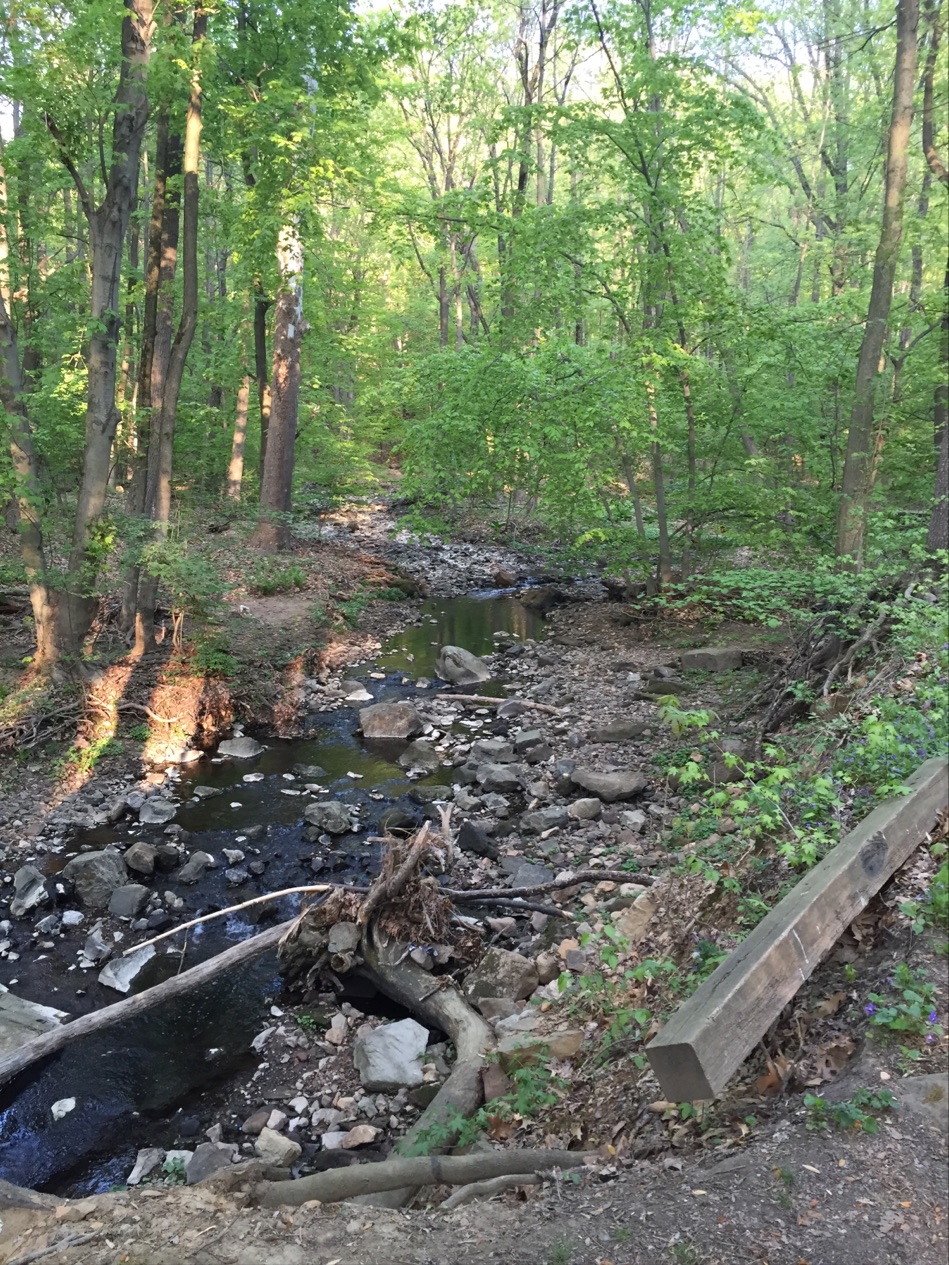 Photo of Flat Rock Brook Nature Center in Englewood City, New Jersey, United States - 2 Picture of Point of interest, Establishment, Park