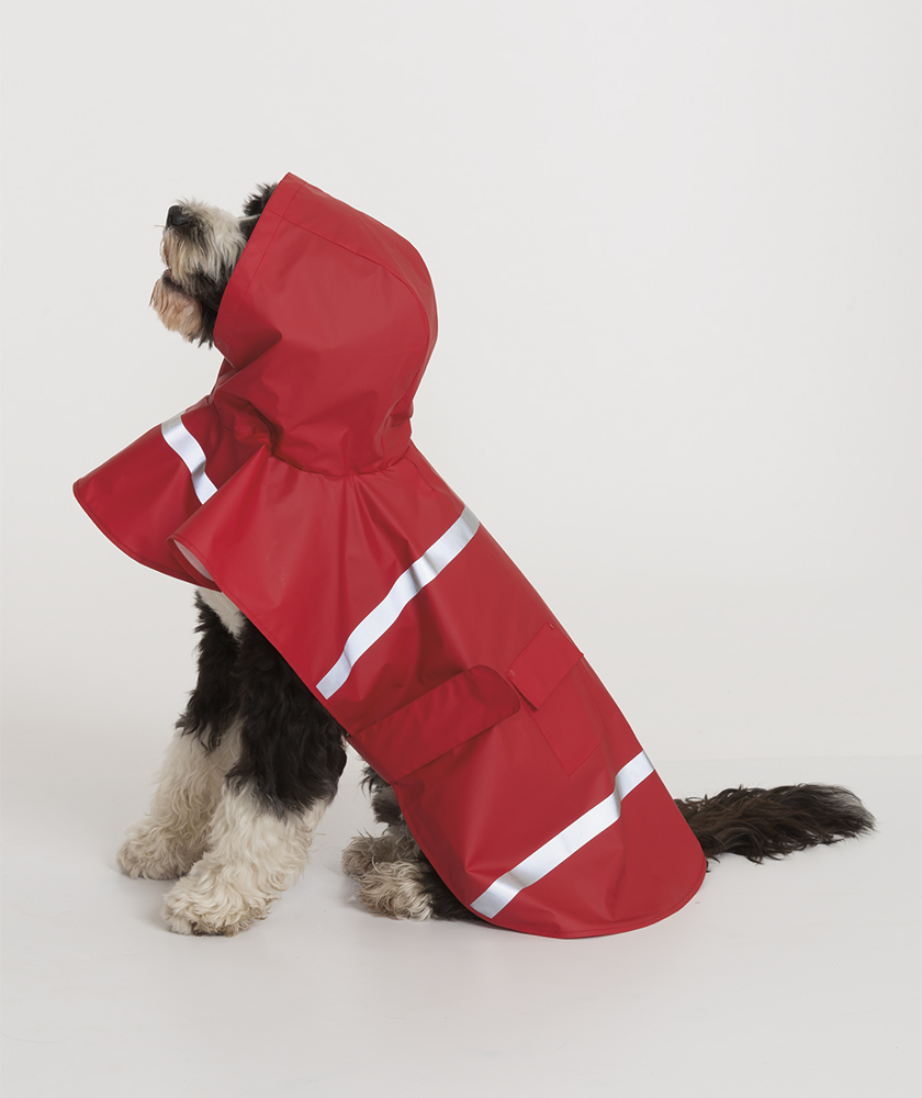 Photo of Doggie Rain Jacket in Garden City, New York, United States - 5 Picture of Point of interest, Establishment