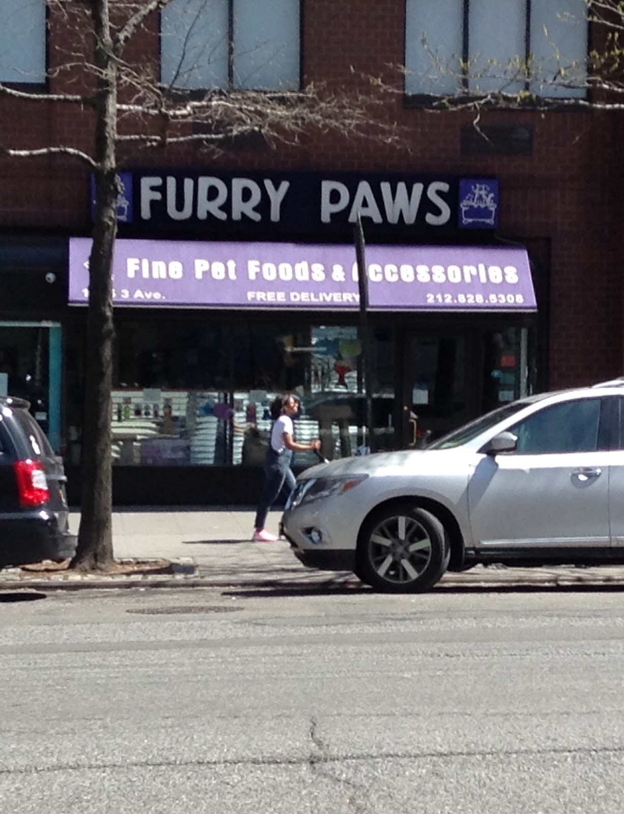 Photo of Furry Paws Inc in New York City, New York, United States - 1 Picture of Point of interest, Establishment, Store, Pet store