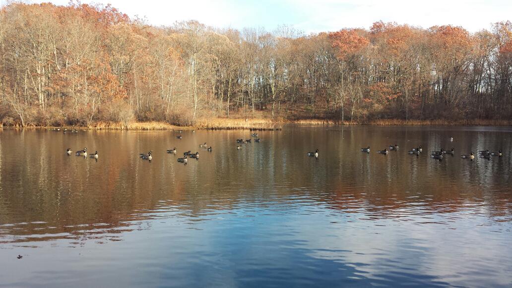 Photo of High Rock Park in Staten Island City, New York, United States - 1 Picture of Point of interest, Establishment, Park