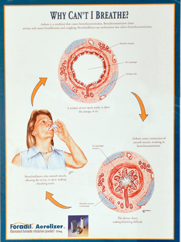 Photo of Allergy and Immunology on Madison in New York City, New York, United States - 6 Picture of Point of interest, Establishment, Health, Doctor