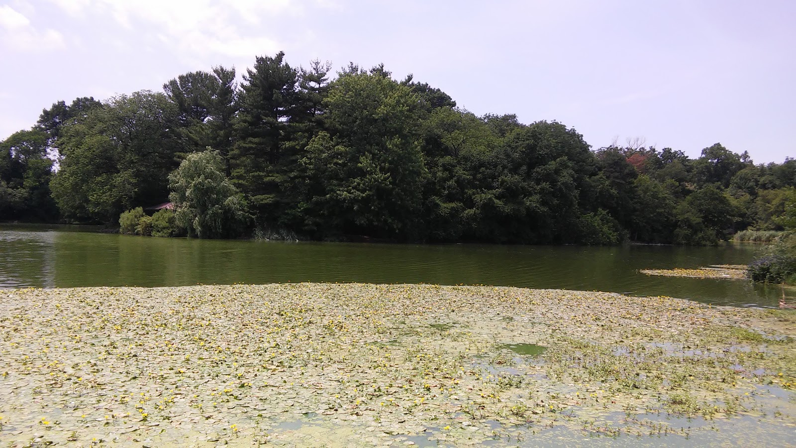 Photo of Chaim Baier Music Island and the Shelby White and Leon Levy Esplanade in Kings County City, New York, United States - 2 Picture of Point of interest, Establishment