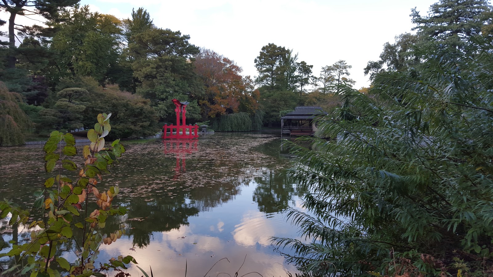 Photo of Japanese Hill-and-Pond Garden in Brooklyn City, New York, United States - 3 Picture of Point of interest, Establishment, Park