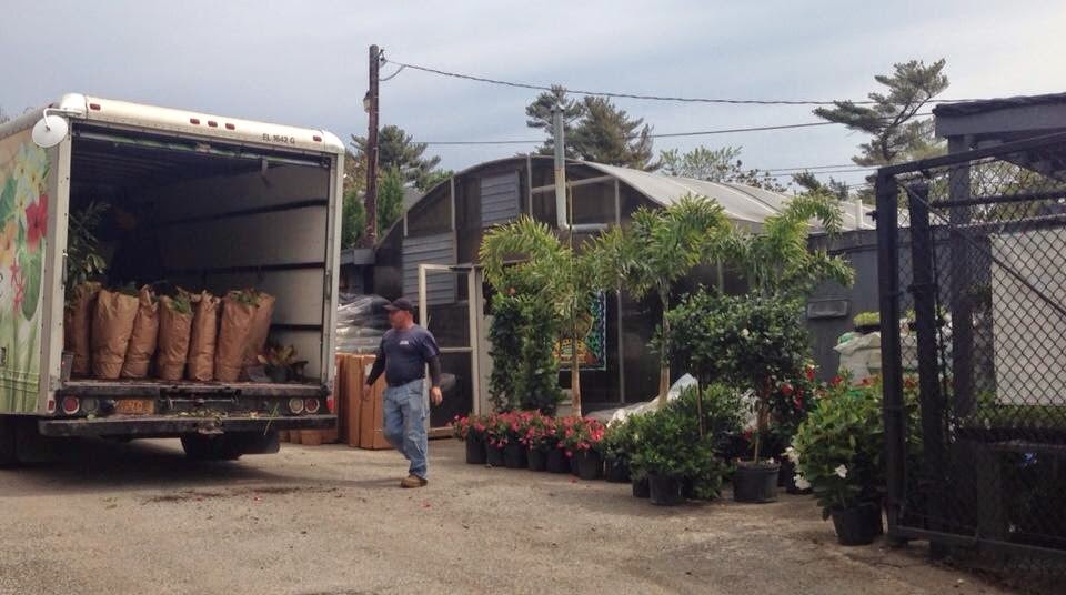 Photo of North Shore Garden Center in Port Washington City, New York, United States - 2 Picture of Food, Point of interest, Establishment, Store, General contractor